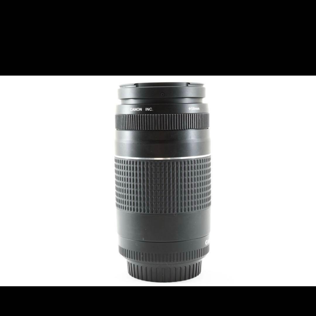 迫力の300㎜/フード付/望遠レンズ　Canon EF75-300㎜