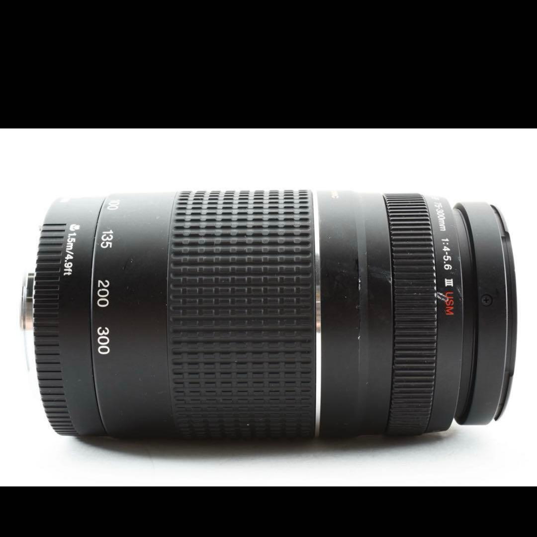 迫力の300㎜/フード付/望遠レンズ　Canon EF75-300㎜