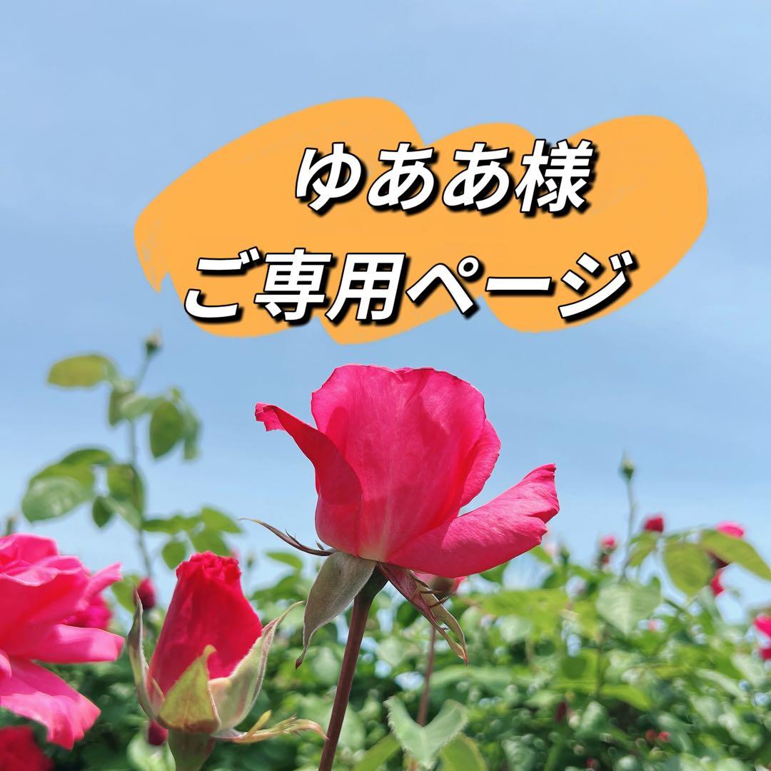 ゆああ様 リクエスト 12点　まとめ商品　パールピアス　パールペンダントトップ