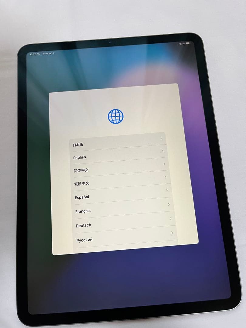 美品 iPad Pro 11-inch (第1世代) Wi-Fi 64GB