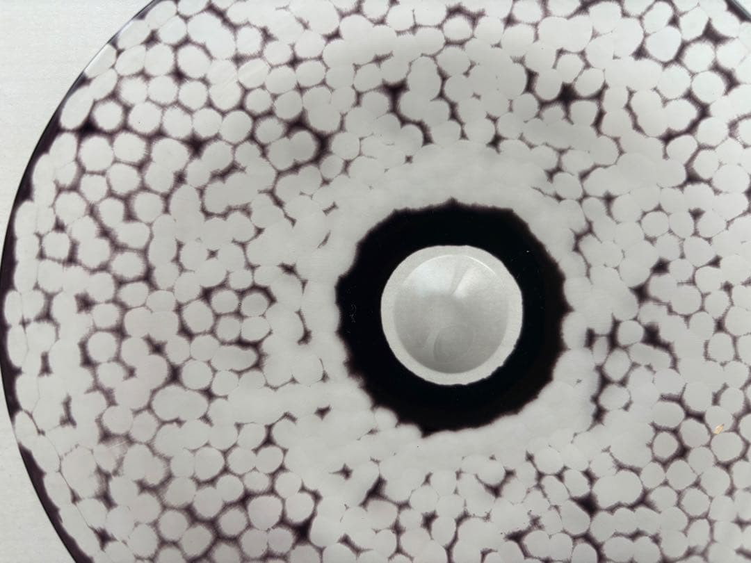 ジャズです 辻和美　ホリホリ　お皿2枚