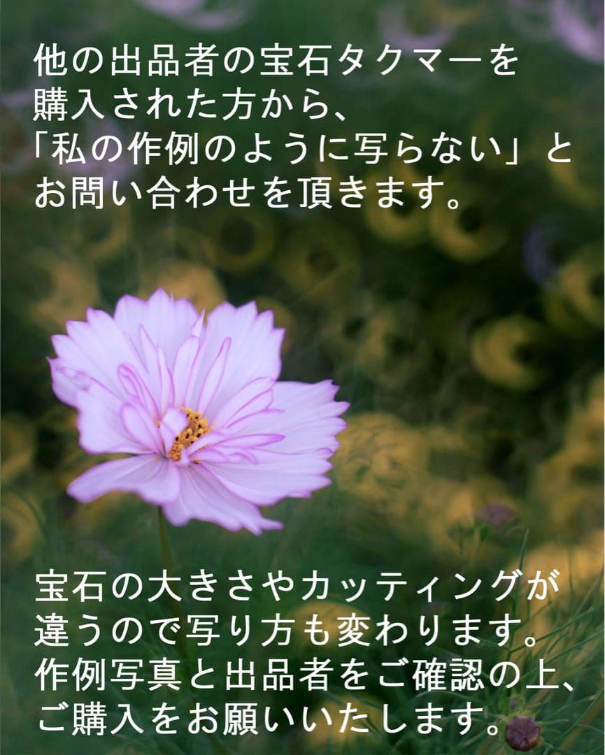 宝石レンズ_Super_Takumar_前期型　55mm_f1.8_an