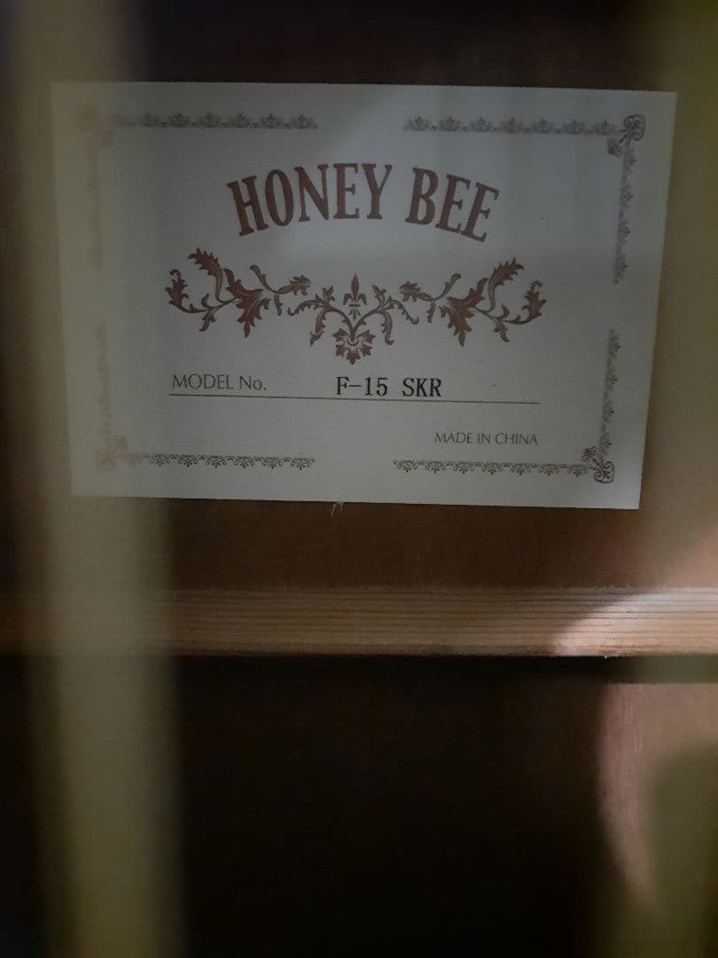HONEY BEE アコースティックギター F-15 SKR