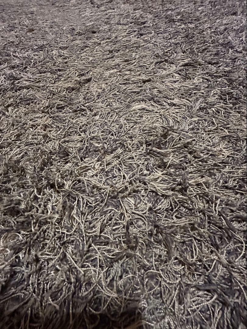 シャギーラグ 200×300 グレー 絨毯 9万円で購入 マンハッタン