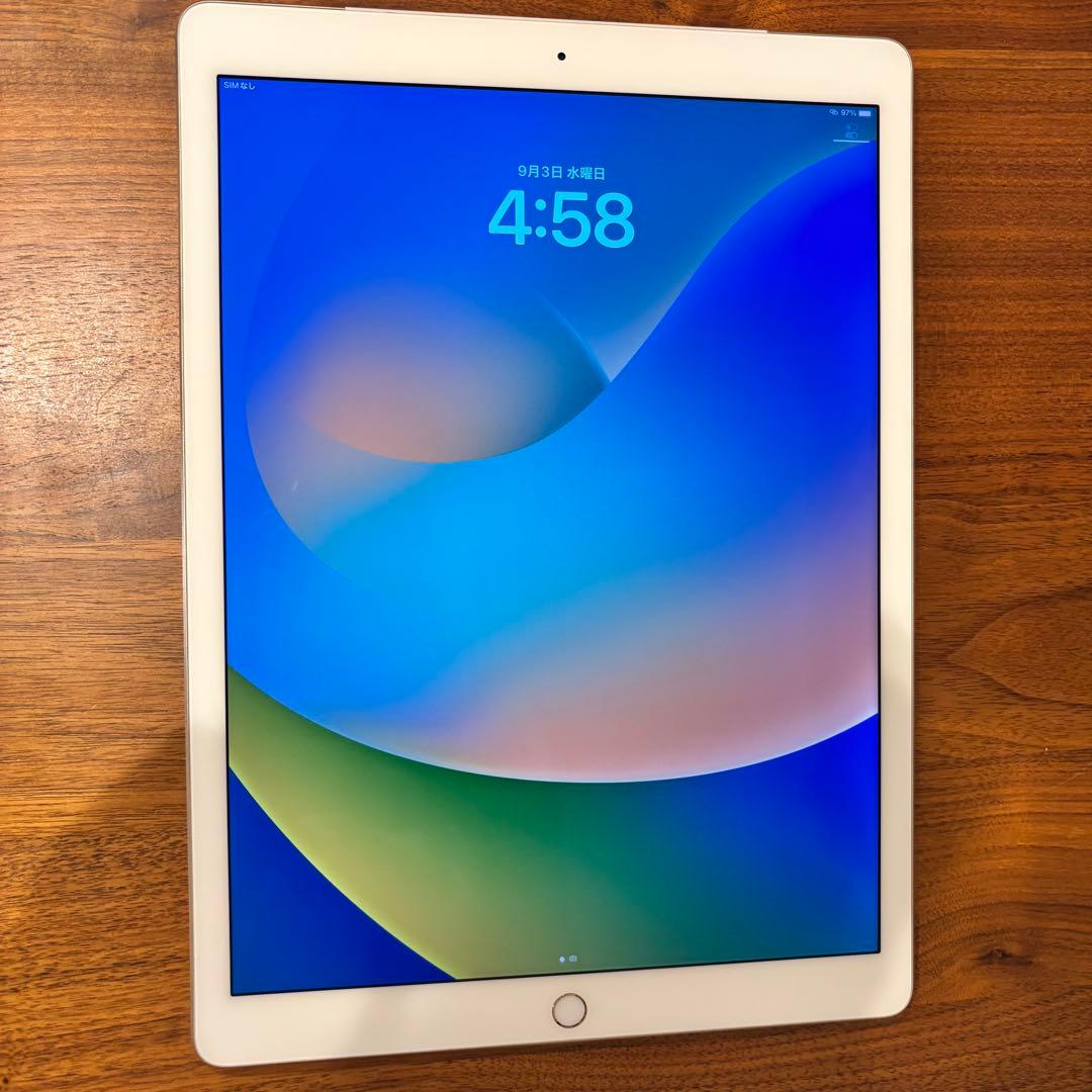 ✨ iPad Pro 12.9インチ 128GB Cellular SIMフリー