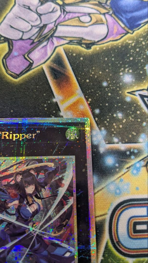 K9-17号 Ripper　プリシク