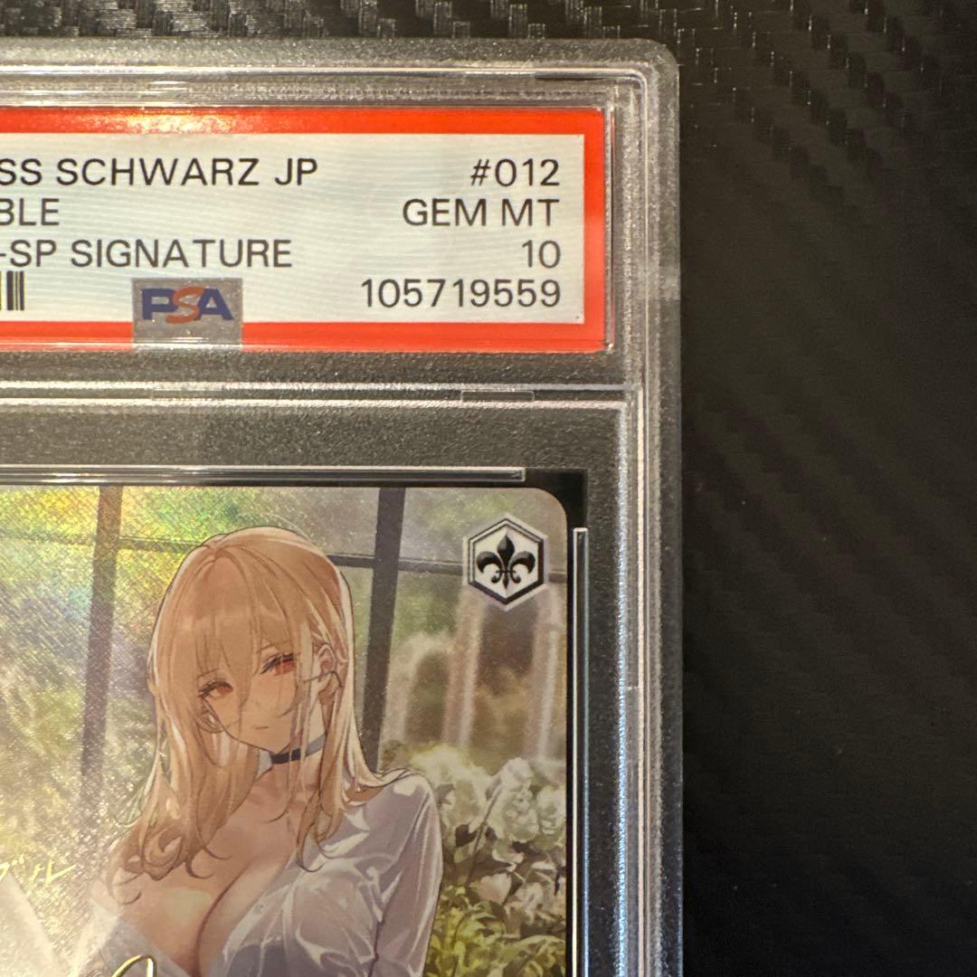 インプラカブル sp PSA10