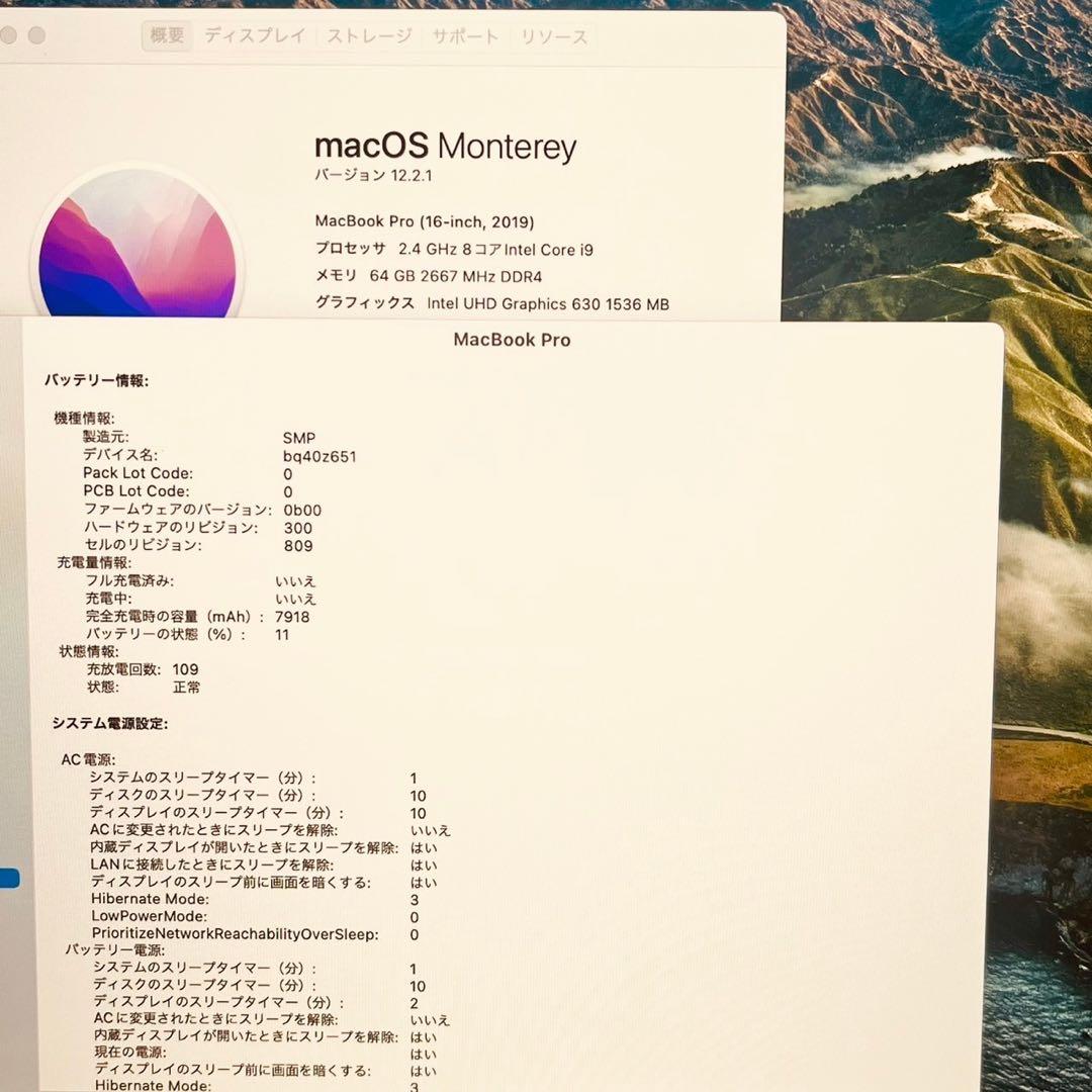 MacBook pro 16インチ 2019 i9 64GB 1TB 管3481