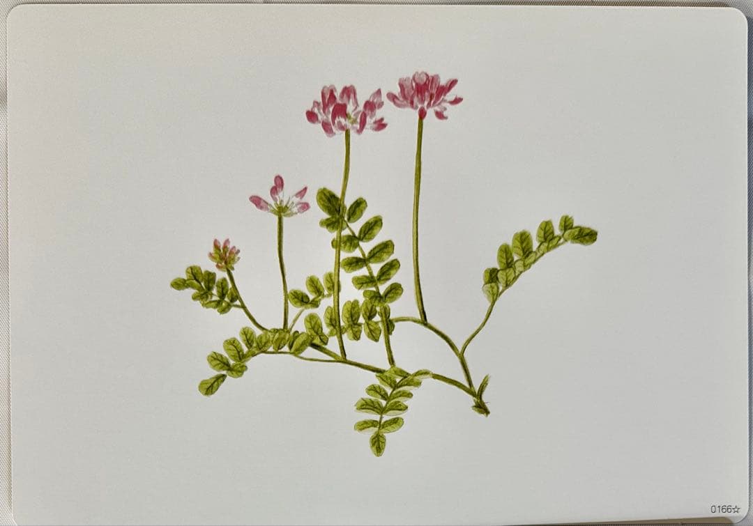 七田式 かな絵ちゃん A・Bセット 1,200枚★カード完備★単語リスト未使用