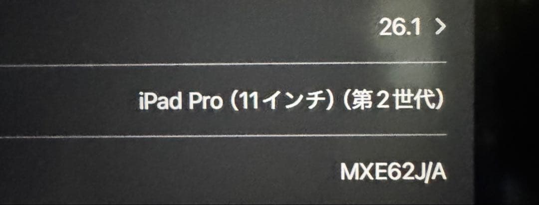iPad Pro (11インチ) (第2世代) ブラック 傷なし 最終値下げ