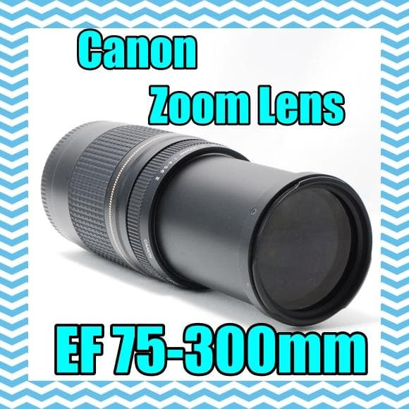 ⭐美品⭐Canon キャノン Zoom Lens EF 75-300mm