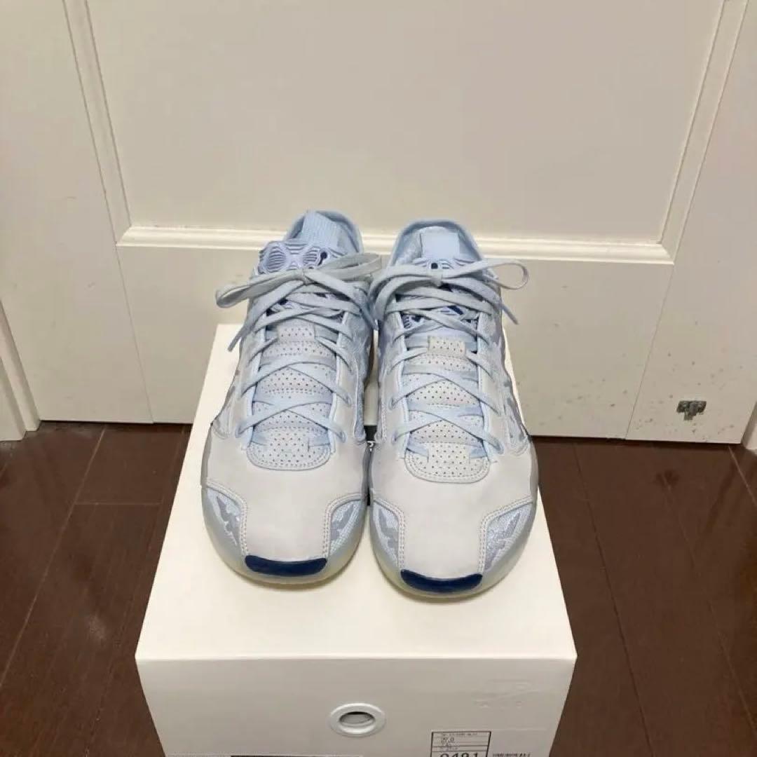 ジョーダン39 jordan39 27cm