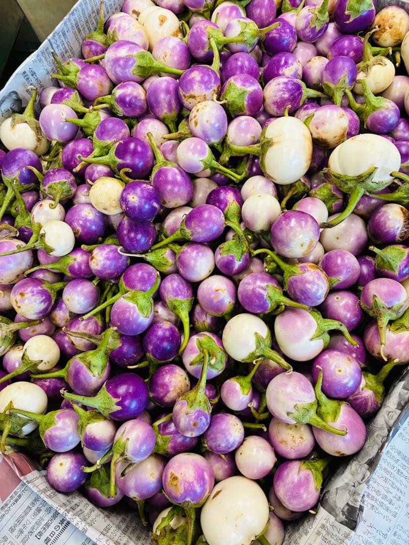 紫と白のナス9キロ