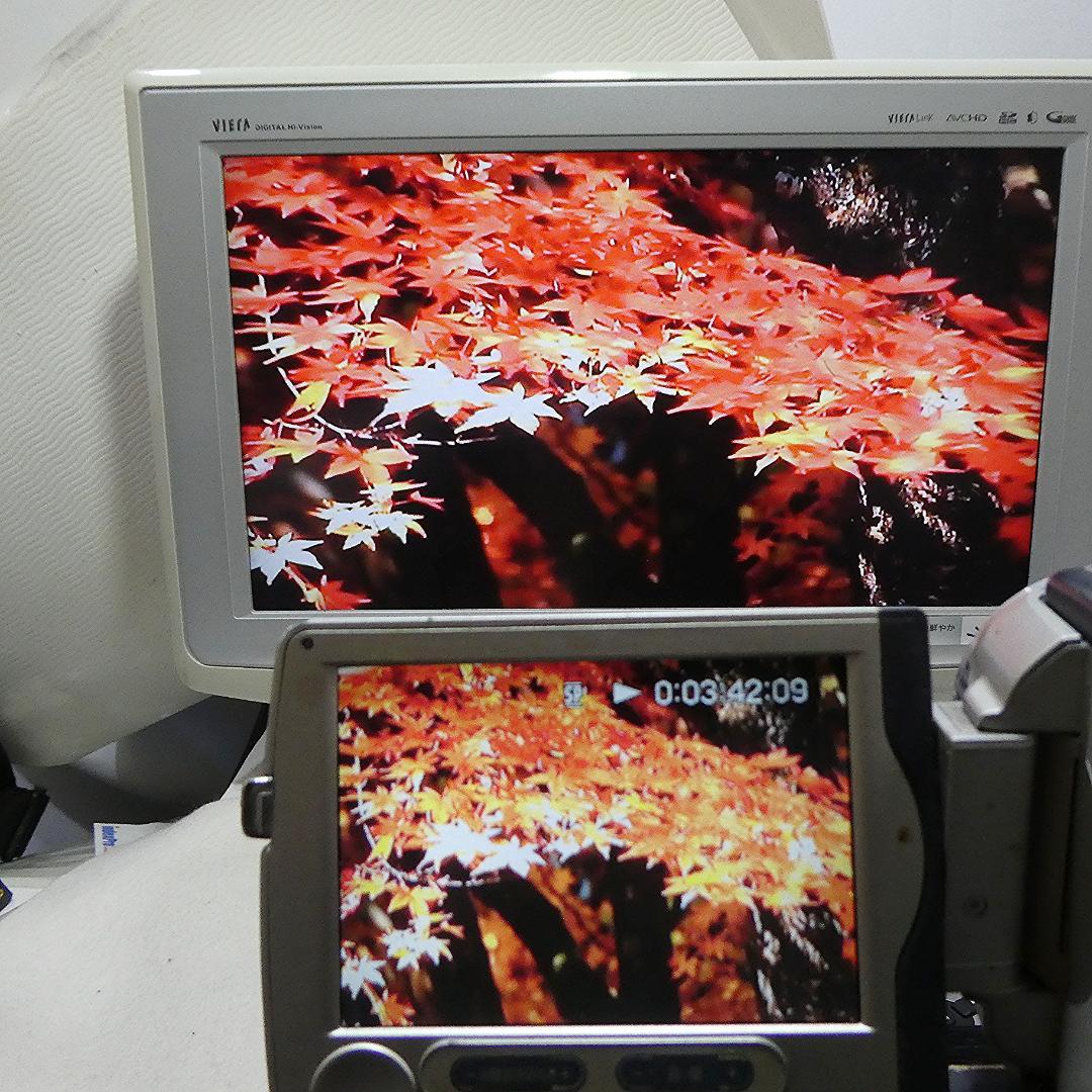 動作品 ソニーDCR-TRV30 MiniDV ビデオカメラDVDダビングに最適