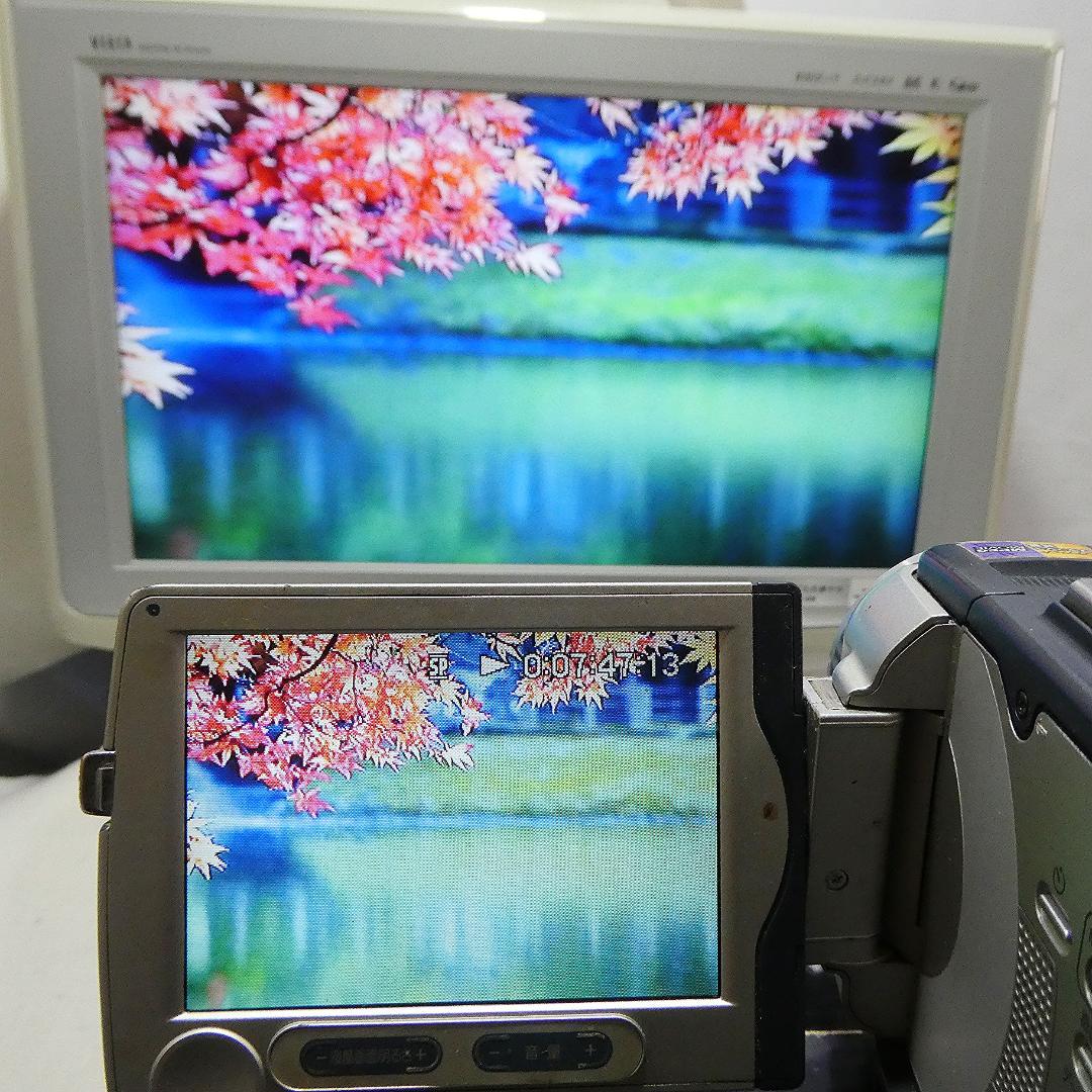 動作品 ソニーDCR-TRV30 MiniDV ビデオカメラDVDダビングに最適
