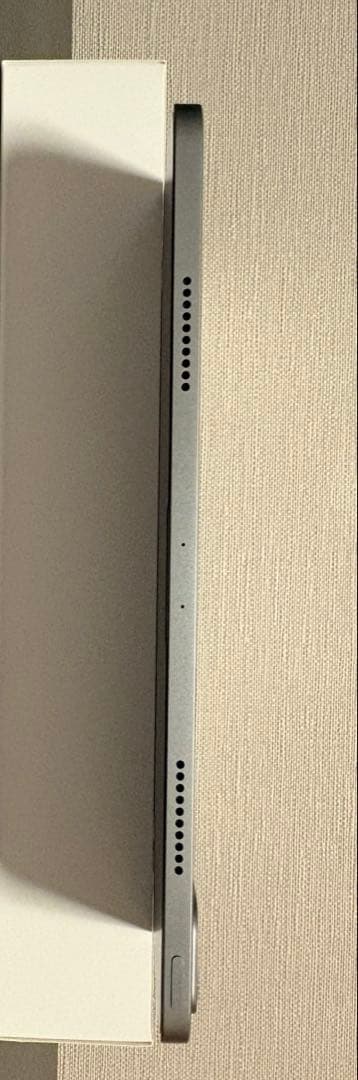 iPad Pro 12.9インチ 第6世代 （その他付属物複数付き、値下げok）