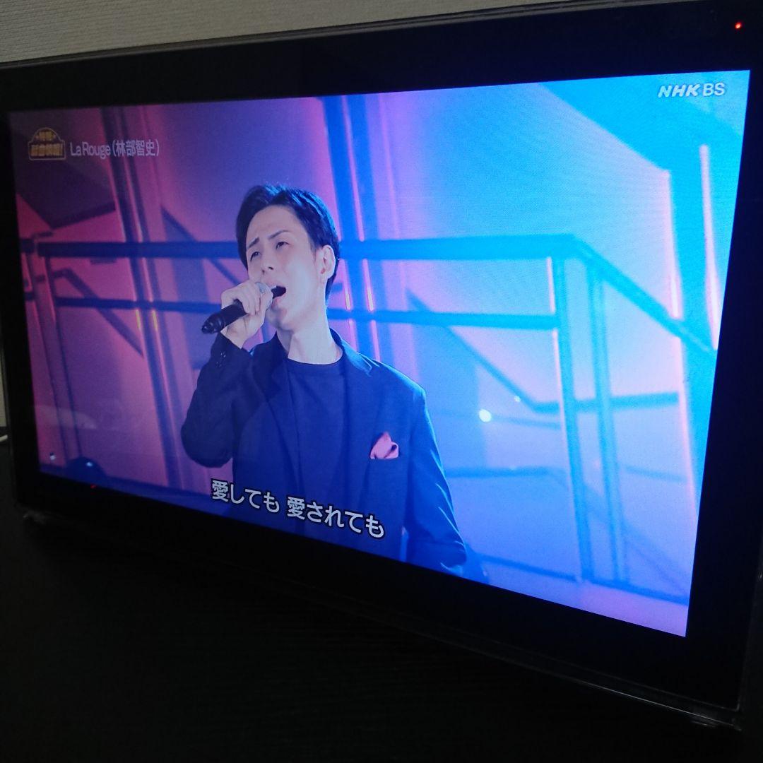 Panasonic プライベートビエラ UN-15T5D UN-T5S 15V型