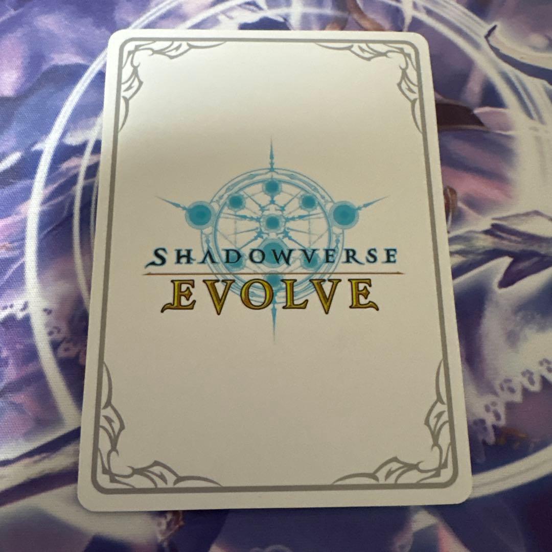 第二の絶傑リシェナ リーダーカード