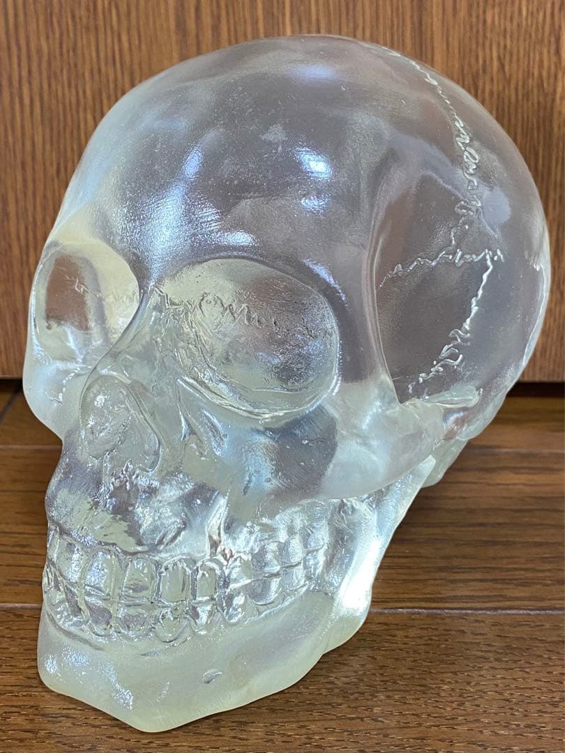 骸骨 スカル 頭蓋骨 ドクロ 髑髏 ガイコツ 置物 インディジョーンズ クリア