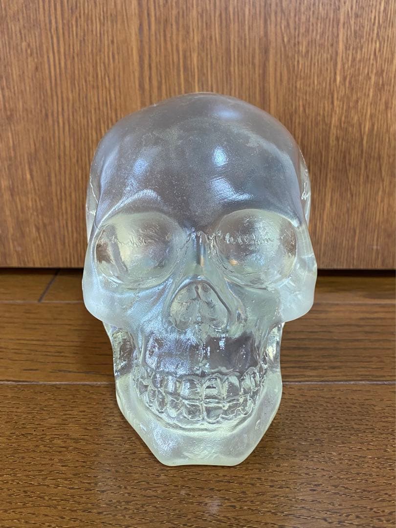 骸骨 スカル 頭蓋骨 ドクロ 髑髏 ガイコツ 置物 インディジョーンズ クリア