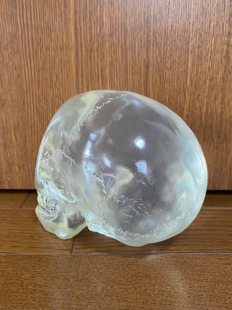 骸骨 スカル 頭蓋骨 ドクロ 髑髏 ガイコツ 置物 インディジョーンズ クリア