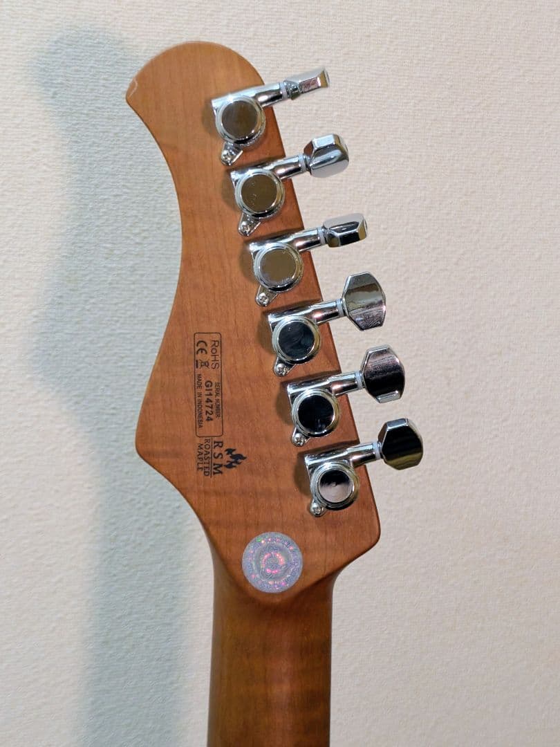 【生産終了】バッカス ストラト SSH グローバルシリーズ レリック加工