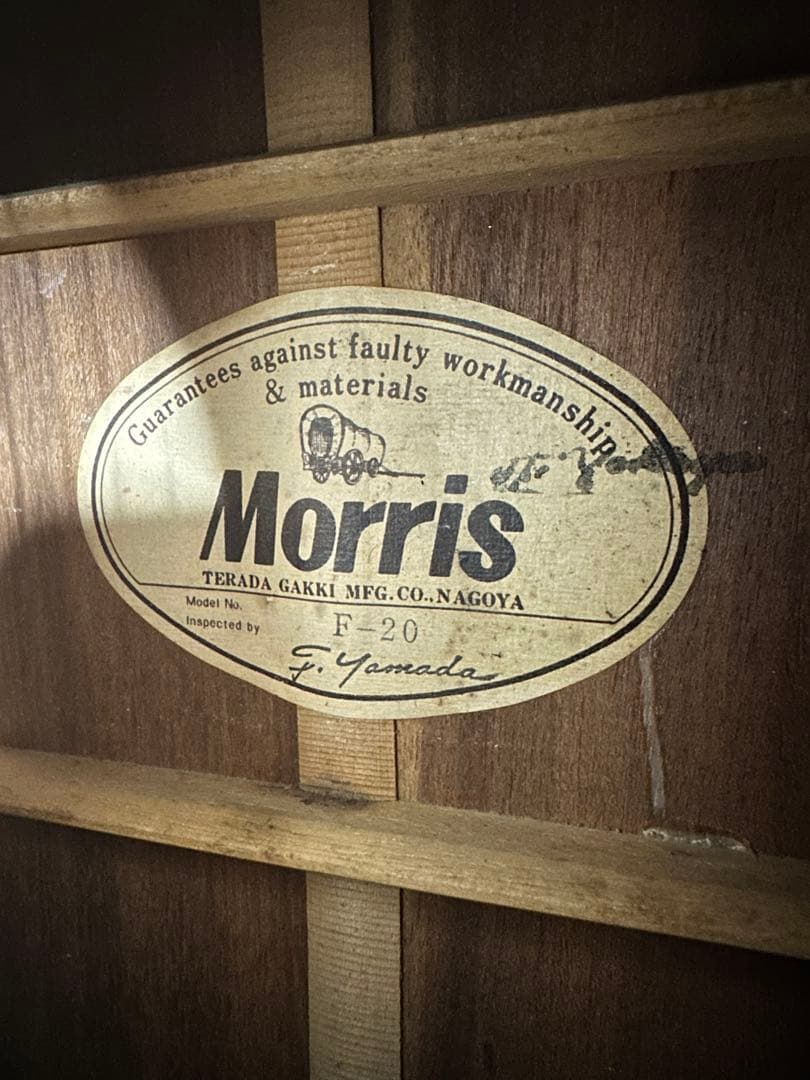 Morris(モーリス) F-20 King Gnu 常田大希氏使用モ