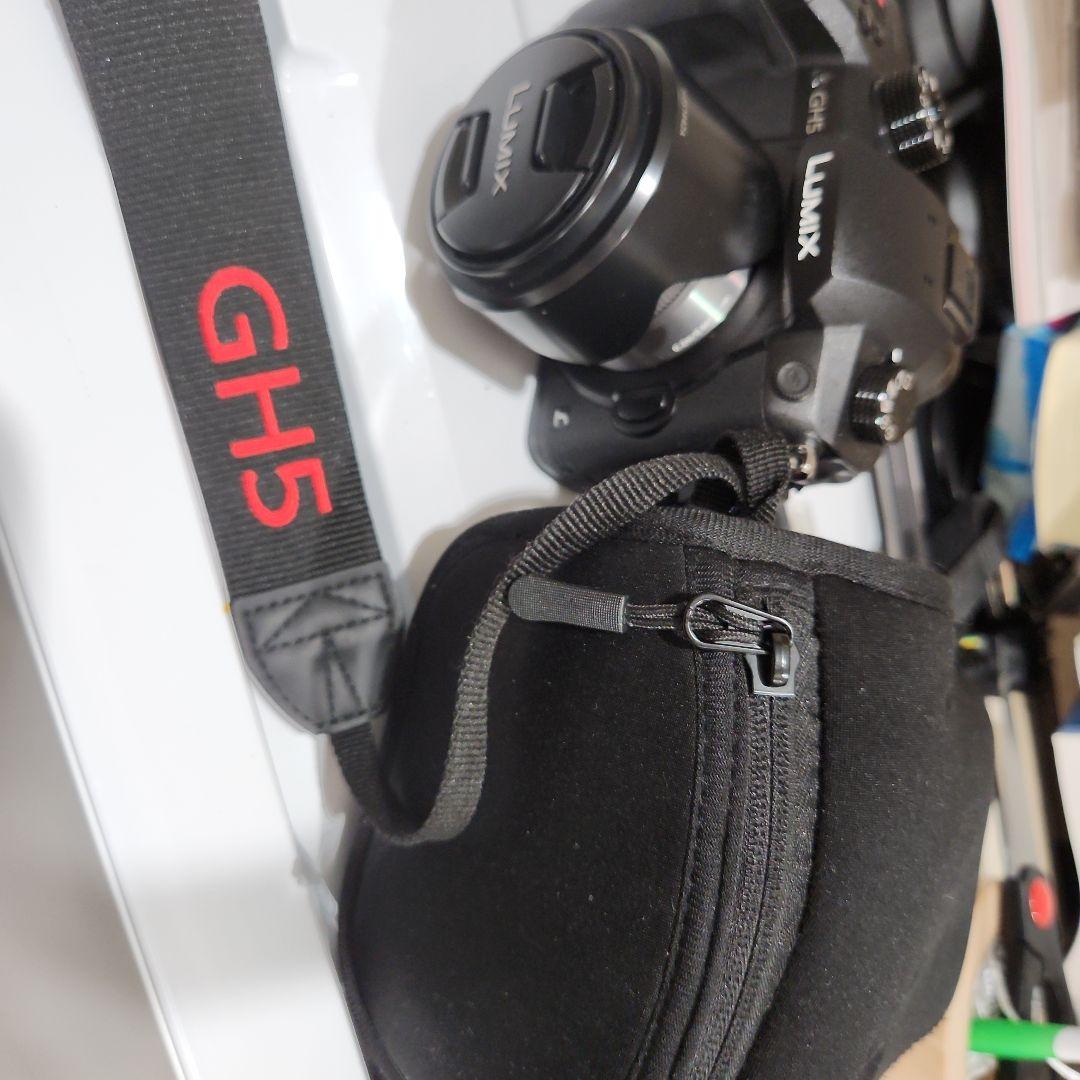 LUMIX GH5 デジタル一眼レフカメラ