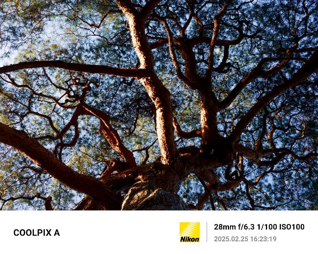 Nikonニコン COOLPIX A 純正フード&フィルター他付