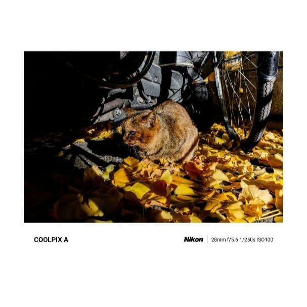 Nikonニコン COOLPIX A 純正フード&フィルター他付