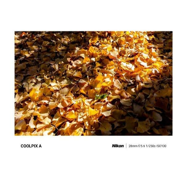 Nikonニコン COOLPIX A 純正フード&フィルター他付