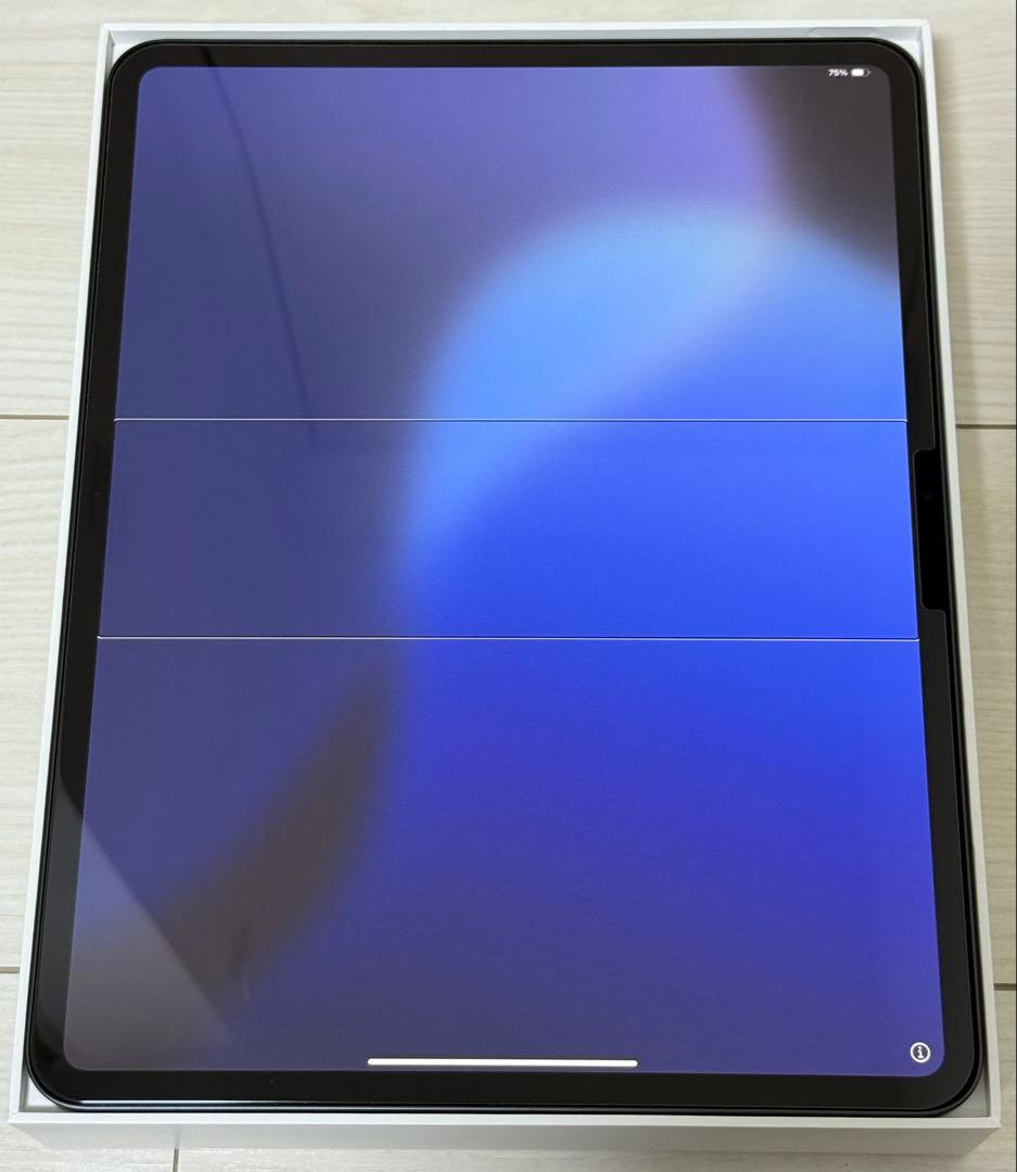 iPad Pro 13インチ M4 pencilpro Combo Touch