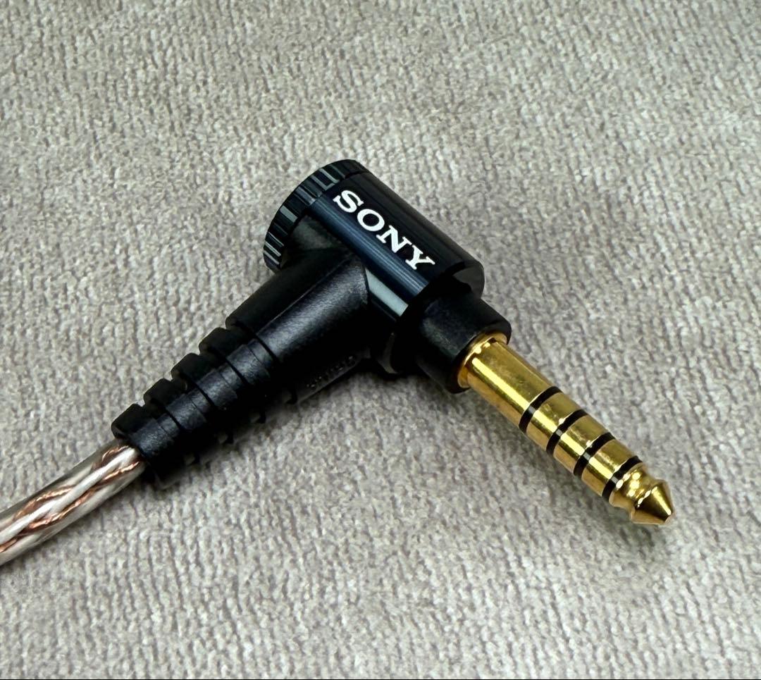 ★使用②回★SONY IER-Z1R ➕ MUC-M12SB2