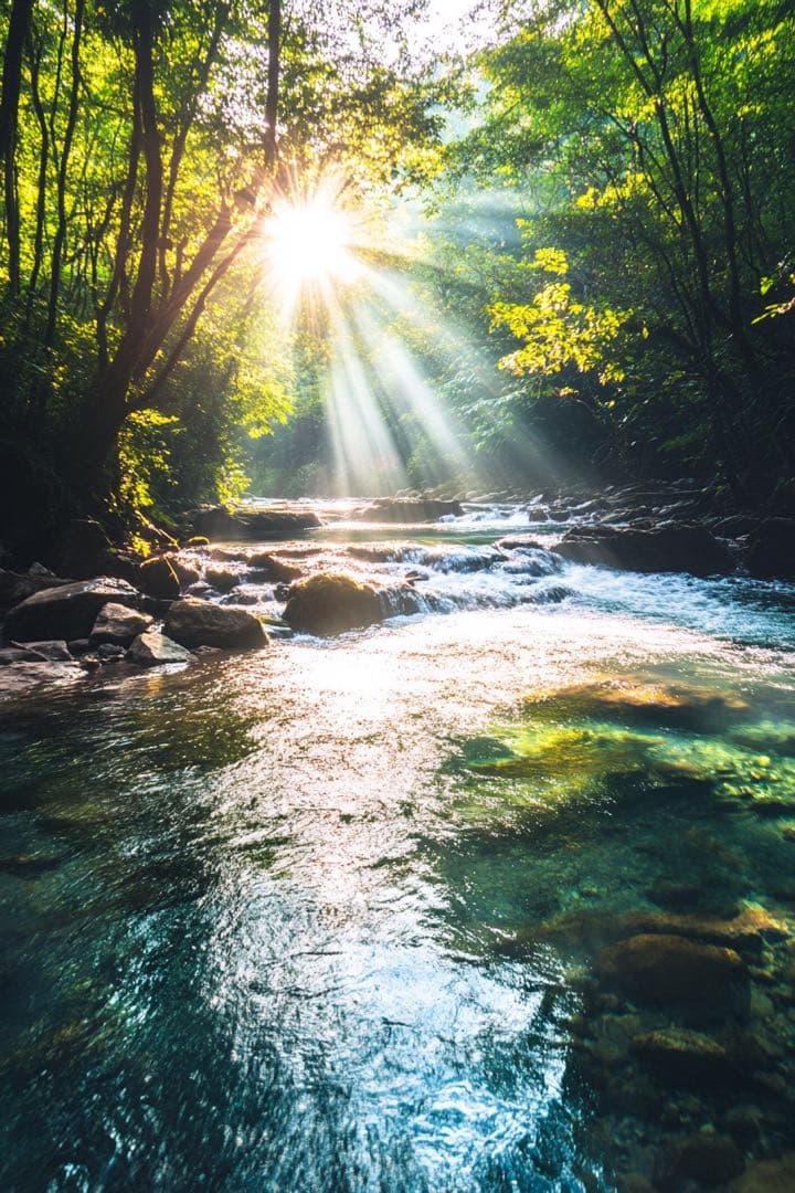Ｐ1517 A4サイズ（額付き）天照大神様　幸福、成功
