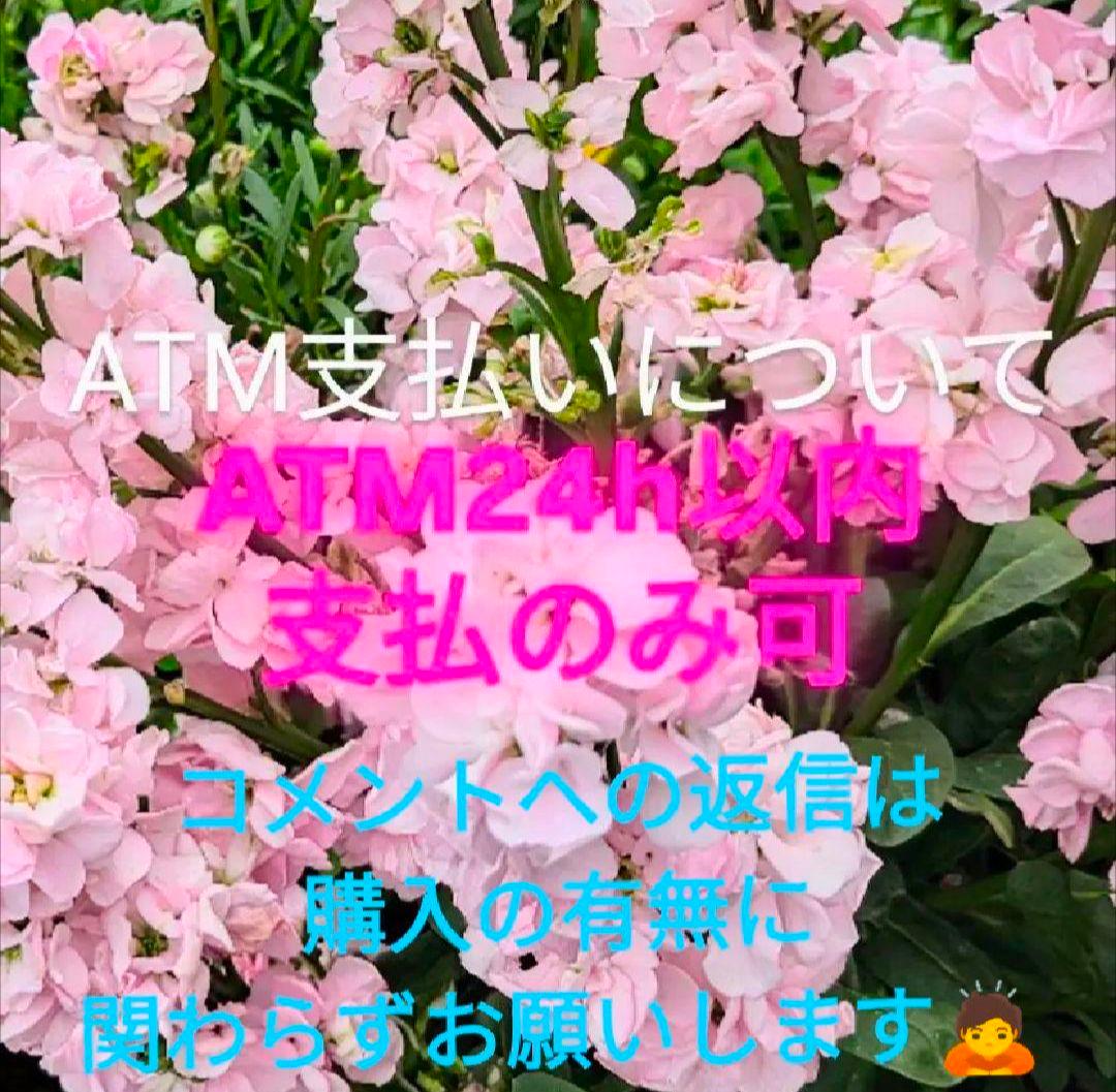 n*o様 ツモリチサト　サンプルボストンバッグ