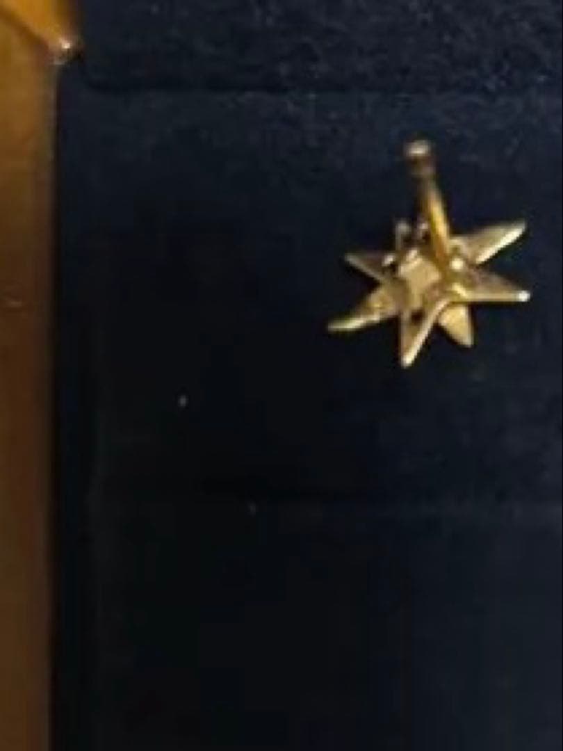 透*様 stellaピアス　片耳