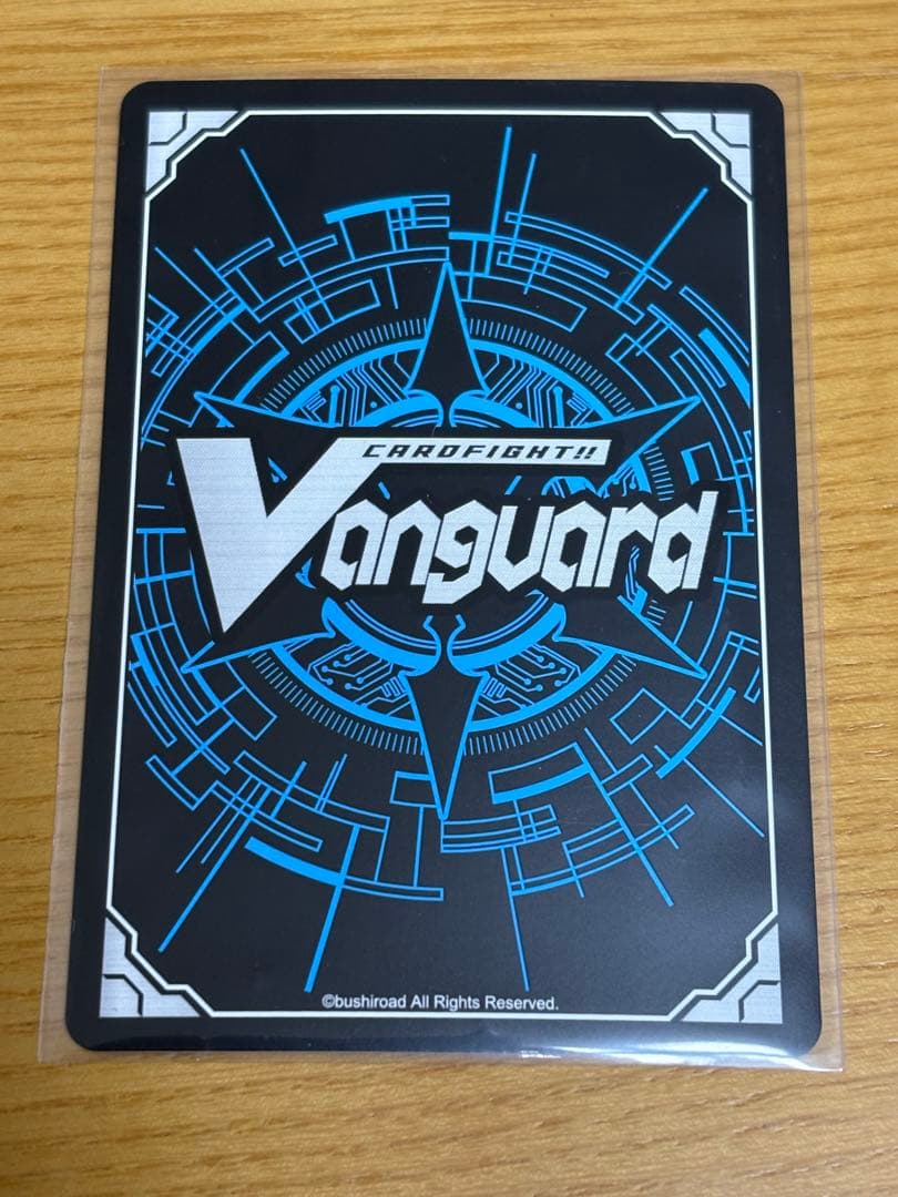 スノウスキップパルヴィLSR