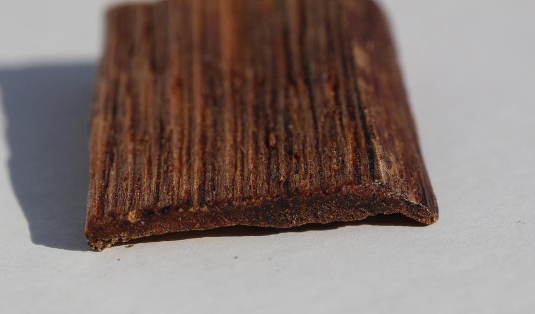 香木 古渡命銘木「浅緑」約0. 6g 伽羅 お香 沈香奇南 奇楠