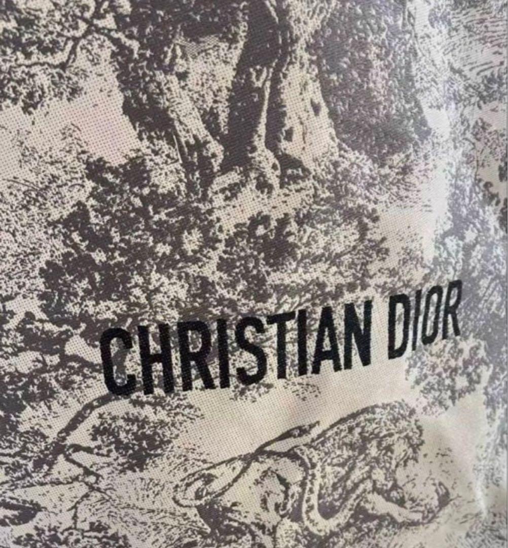 DIOR クリスチャンディオール ノベルティ トートバッグ エコバッグ