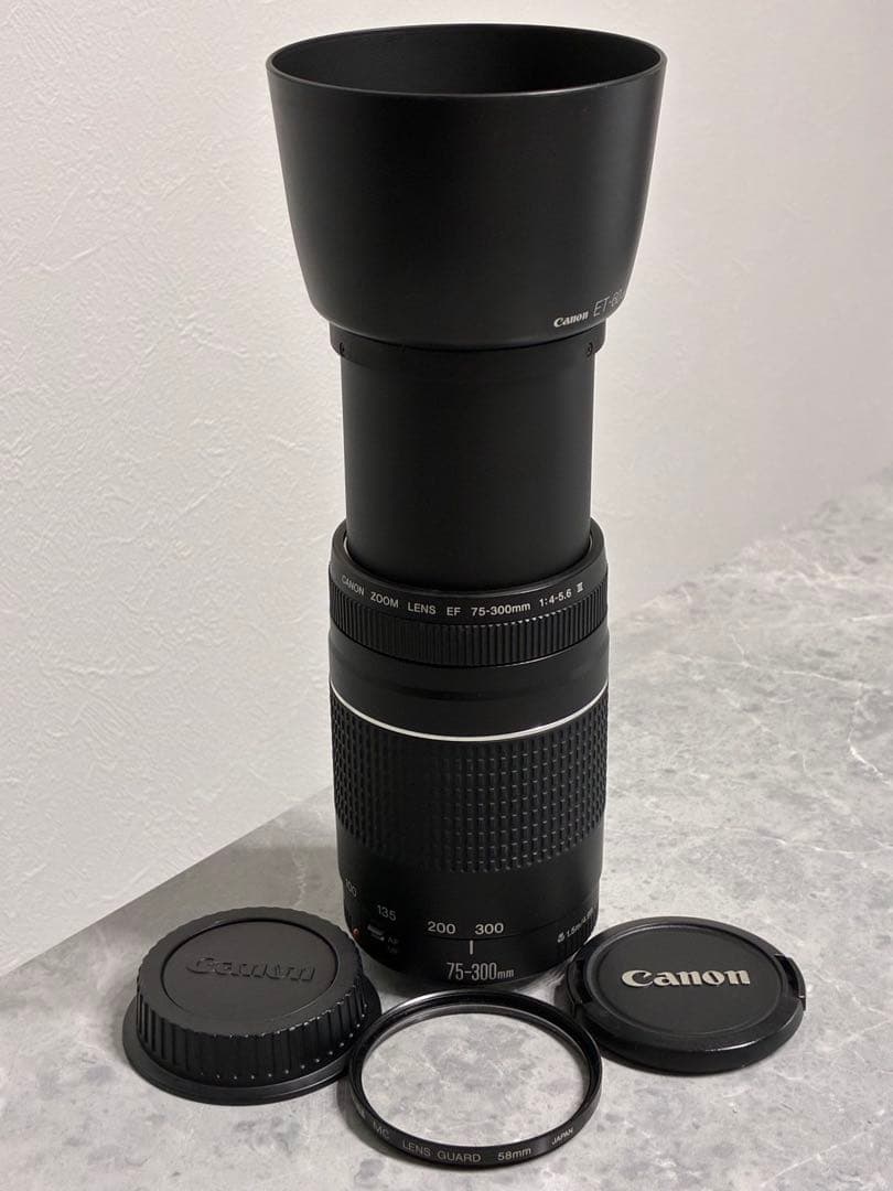 ⭐️美品⭐️Canon EF 75-300mm F4-5.6 III レンズフード付