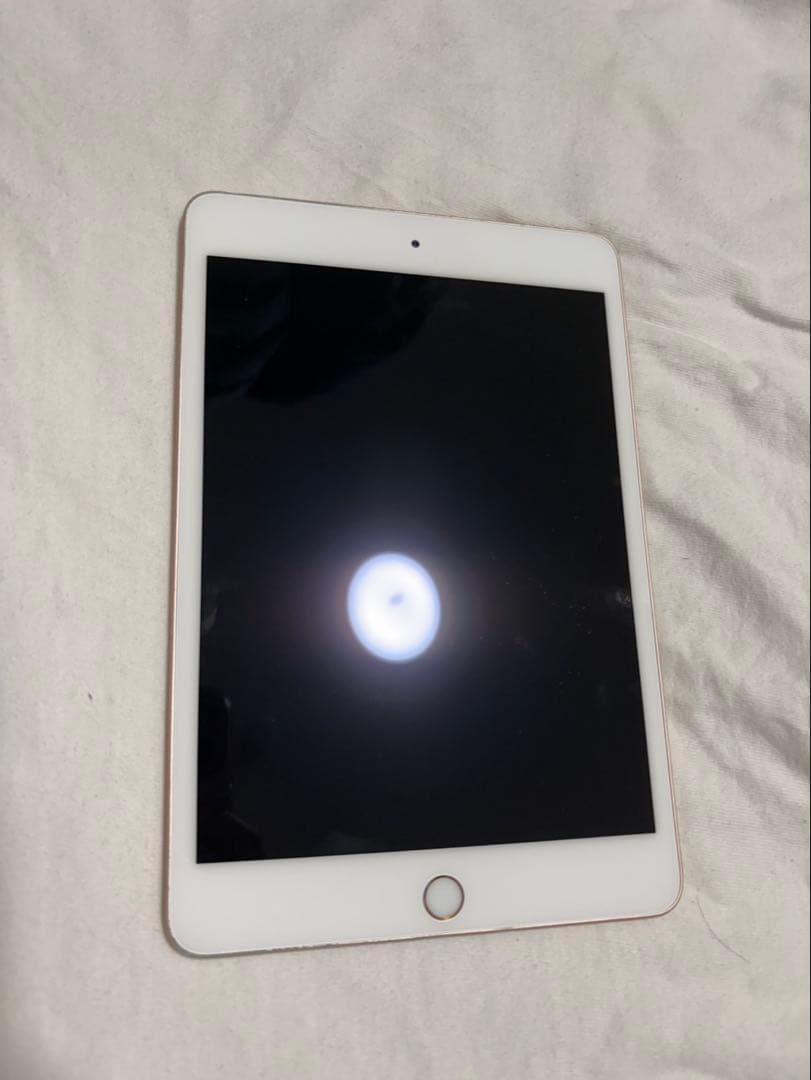 Apple iPad mini 5 ピンクゴールド 箱無し 本体のみ