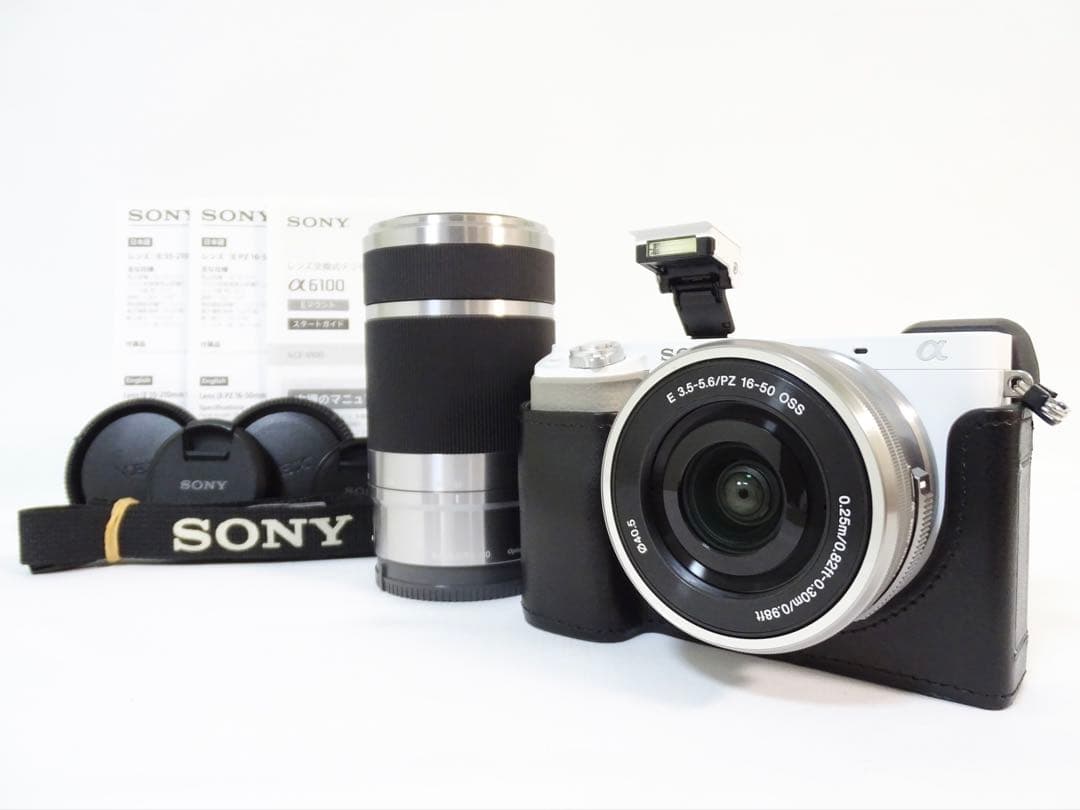 ◆美品◆SONY α6100 ダブルレンズセット シャッター数:5,159回