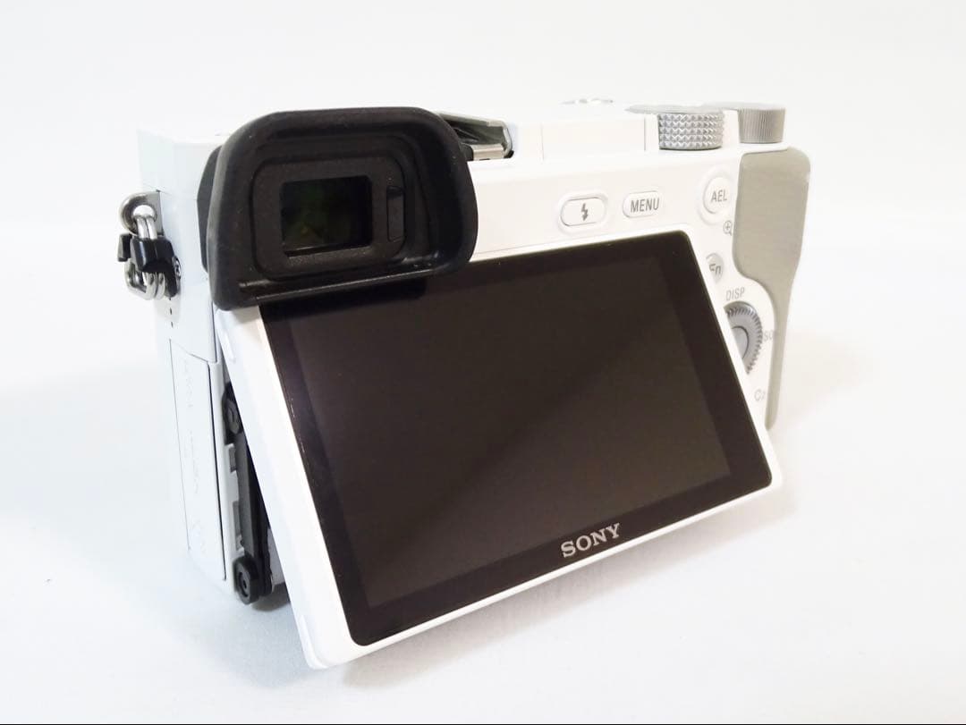 ◆美品◆SONY α6100 ダブルレンズセット シャッター数:5,159回
