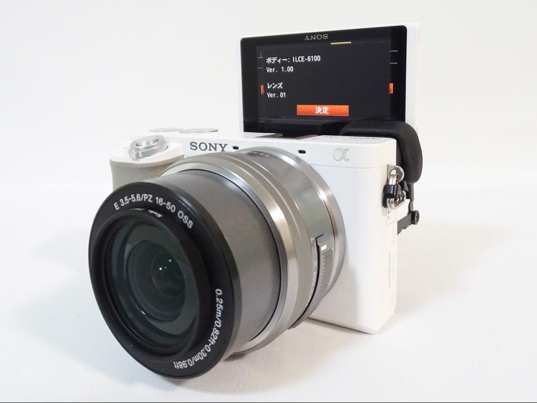 ◆美品◆SONY α6100 ダブルレンズセット シャッター数:5,159回
