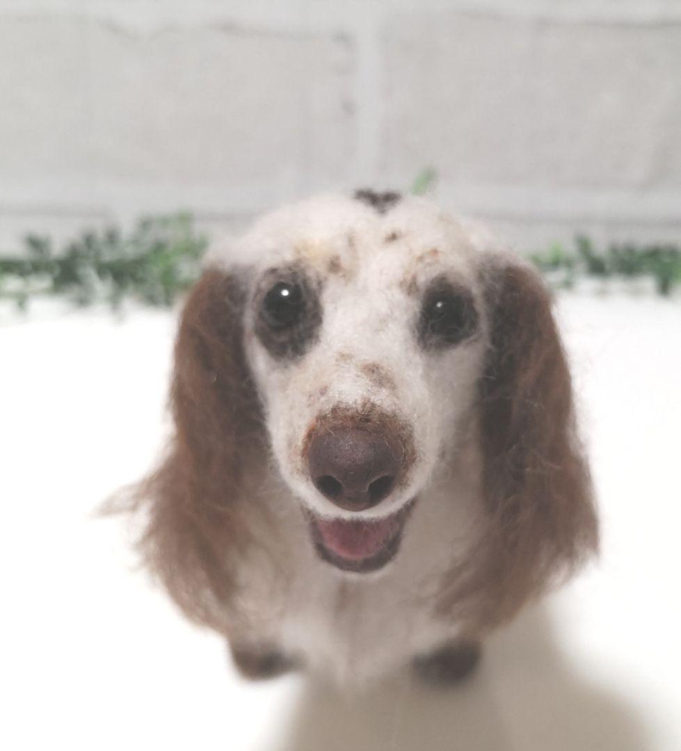 美桜♡うちの子オーダー♡羊毛フェルト♪ハンドメイド☆