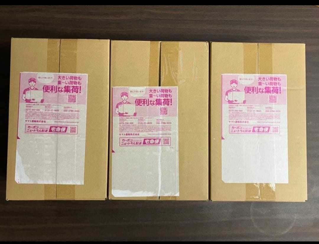 【完全未開封】ポケモンセンターヒロシマ スペシャルBOX3箱