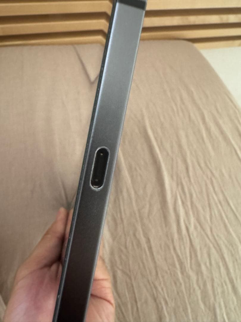 iPad Pro 12.9インチ 第5世代 　Wi-Fi + Cellular