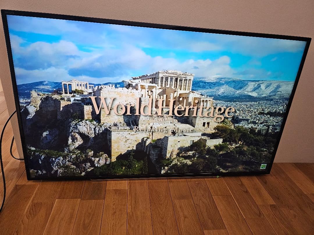 REGZA 49G20X スタンド無し