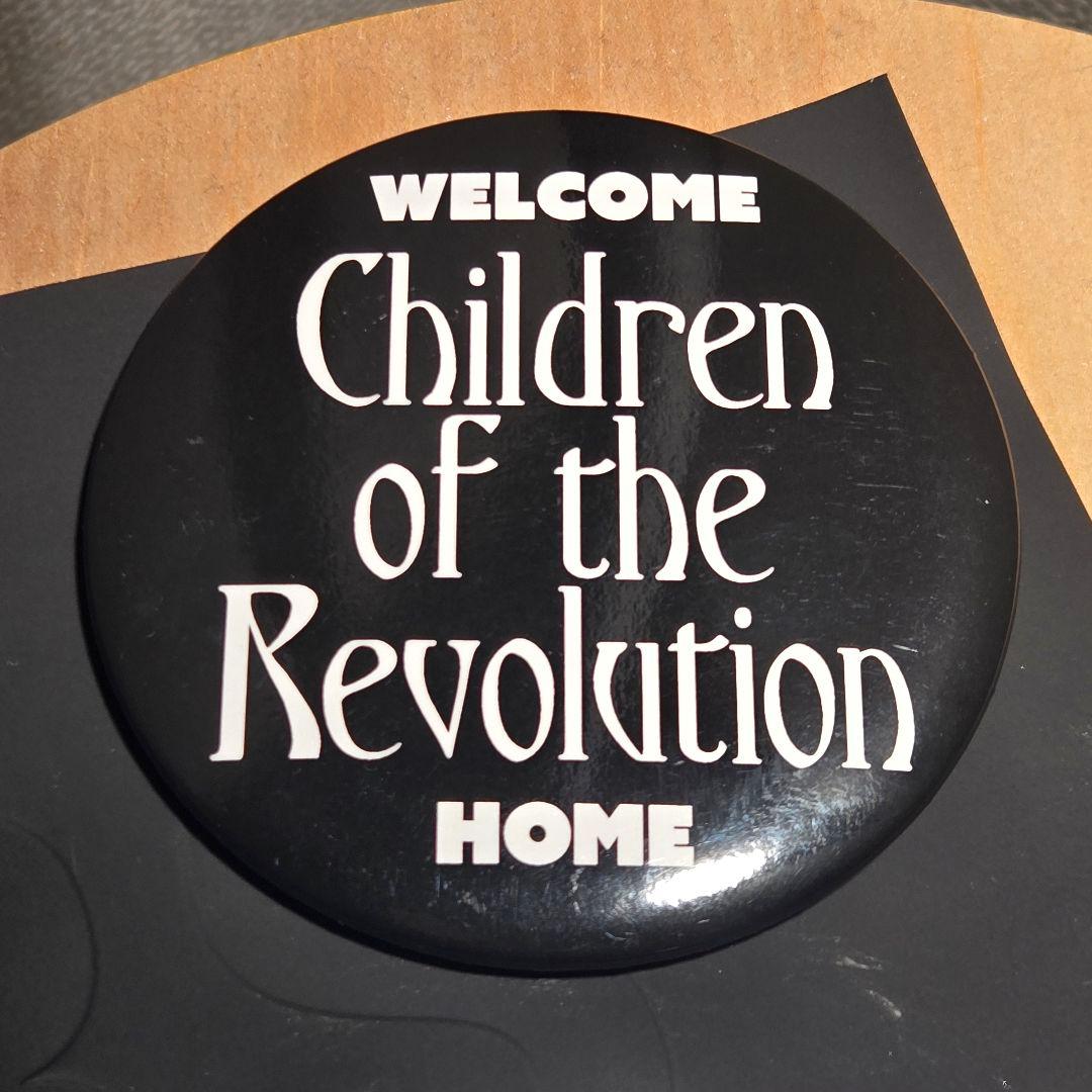 RAF SIMONS Set of 3 pins 缶バッジ ピンズ 21ss