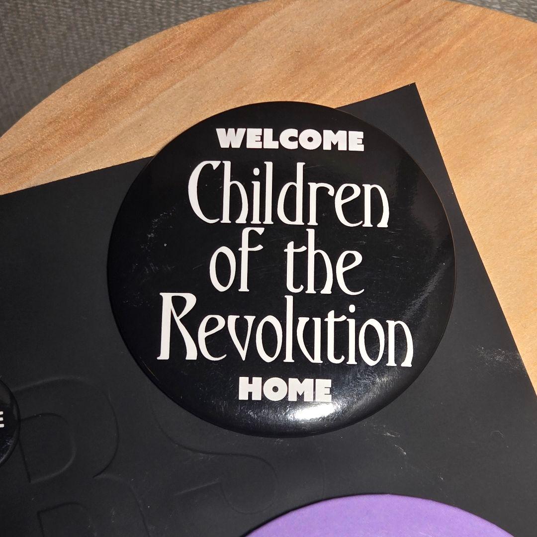 RAF SIMONS Set of 3 pins 缶バッジ ピンズ 21ss